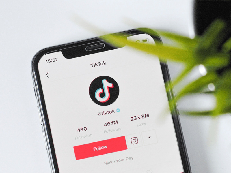 Các hình thức buff follow TikTok phổ biến hiện nay